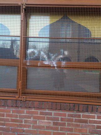 Dewsbury Mosque Has Racist Graffiti Scrawled Over It