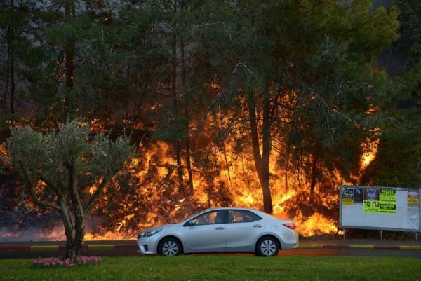 A car drives past burning trees as a wildfire rages in the northern city of Haifa, Israel November 24, 2016. REUTERS/Gil Eliyahu